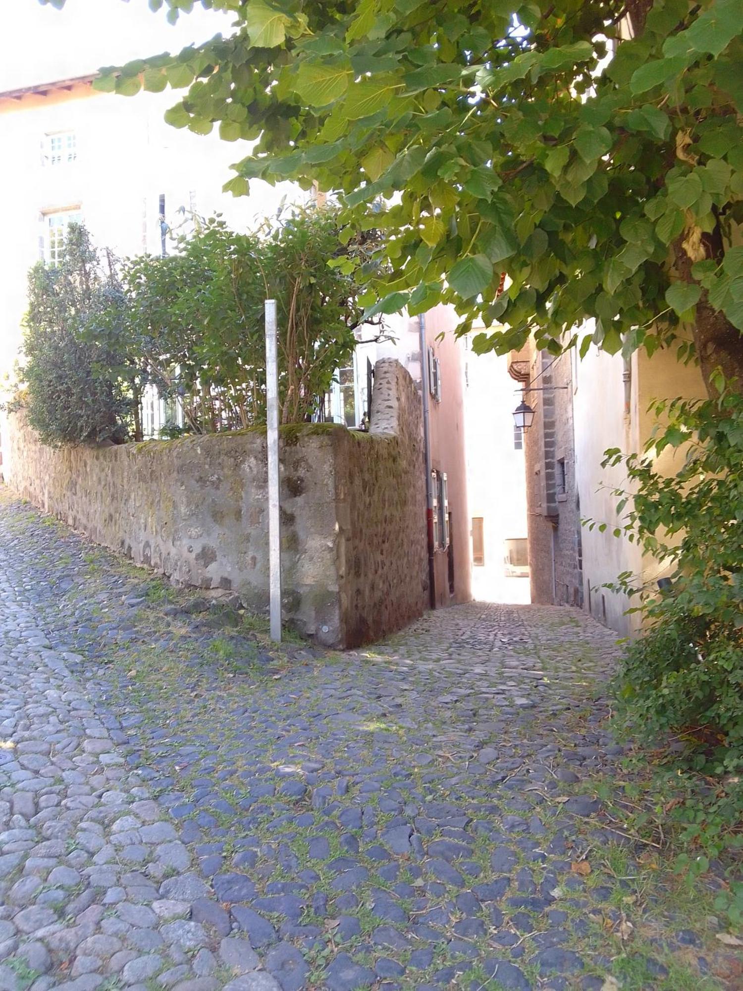 Apartmán Le Relax Max Le Puy-en-Velay Pokoj fotografie